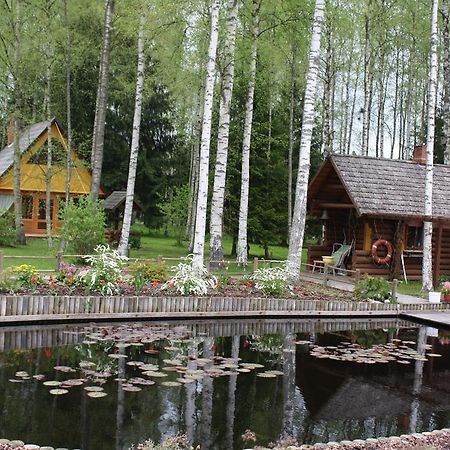 Holiday Home Berzlejas Upesgriva Экстерьер фото